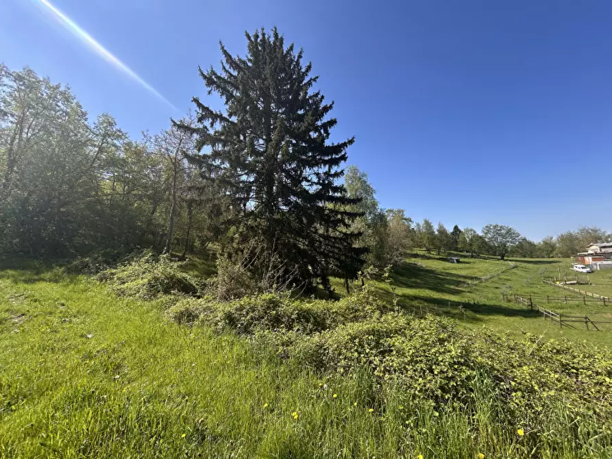 Immagine 15 di Terreno in vendita  a Grezzana