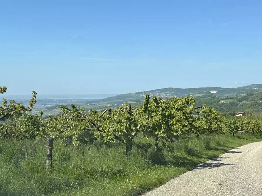 Immagine 17 di Terreno in vendita  a Grezzana