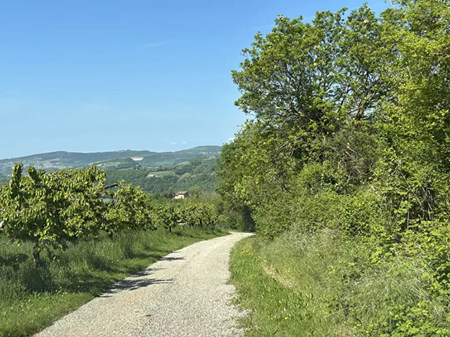 Immagine 18 di Terreno in vendita  a Grezzana