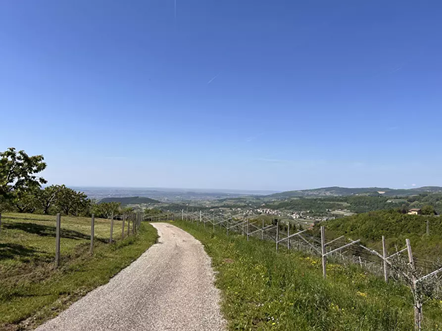 Immagine 19 di Terreno in vendita  a Grezzana