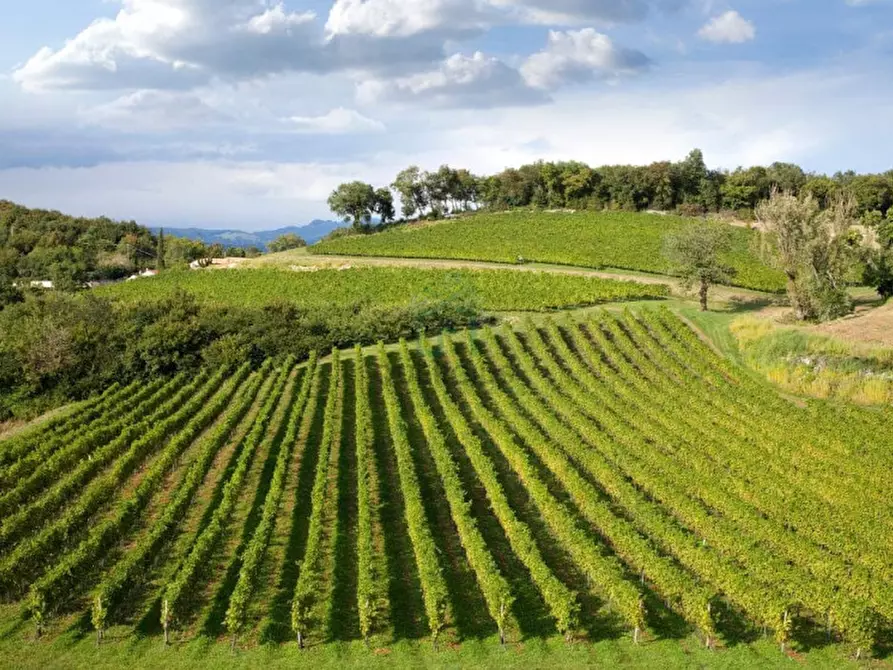 Immagine 1 di Terreno in vendita  in Via Gombion a Caldiero