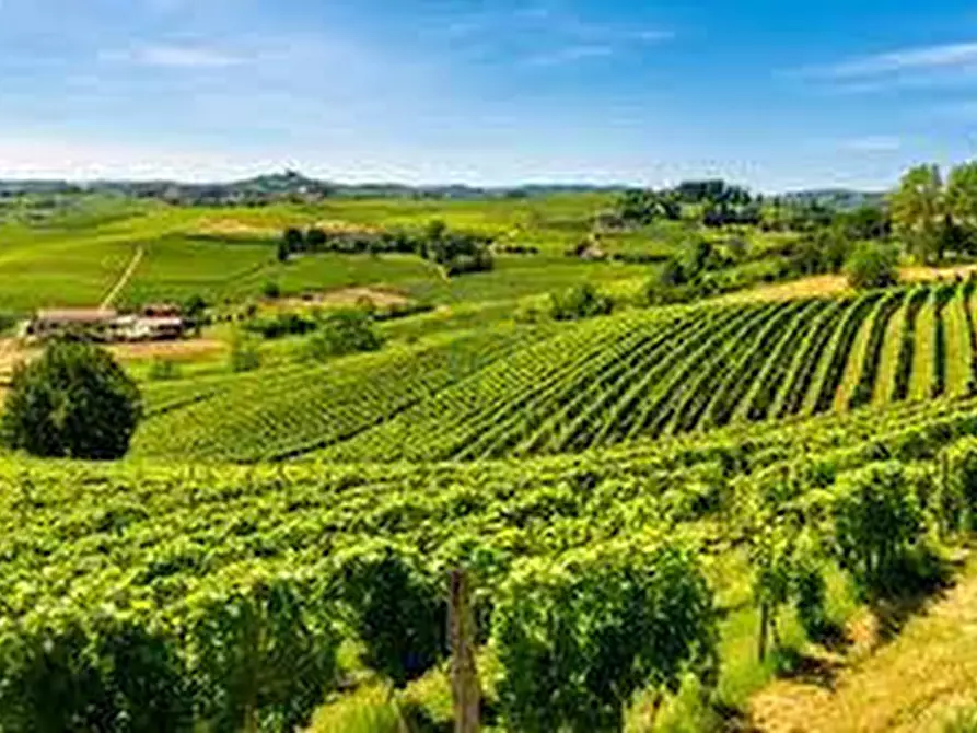 Immagine 2 di Terreno in vendita  in Via Gombion a Caldiero