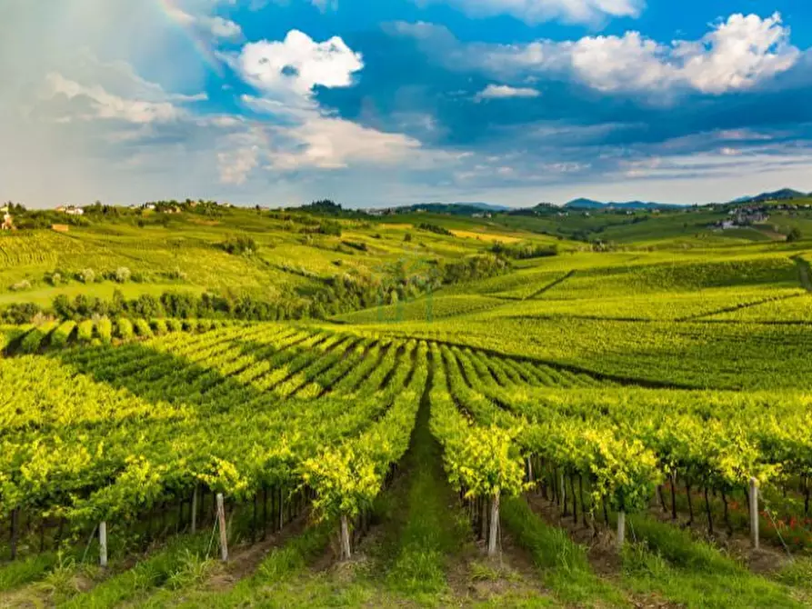 Immagine 3 di Terreno in vendita  in Via Gombion a Caldiero