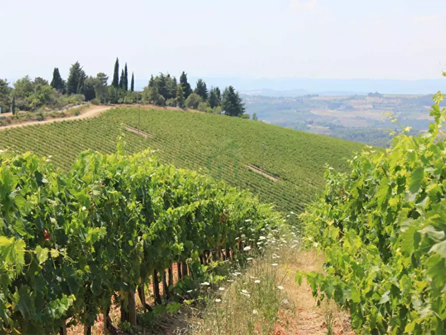 Immagine 7 di Terreno in vendita  in Via Gombion a Caldiero