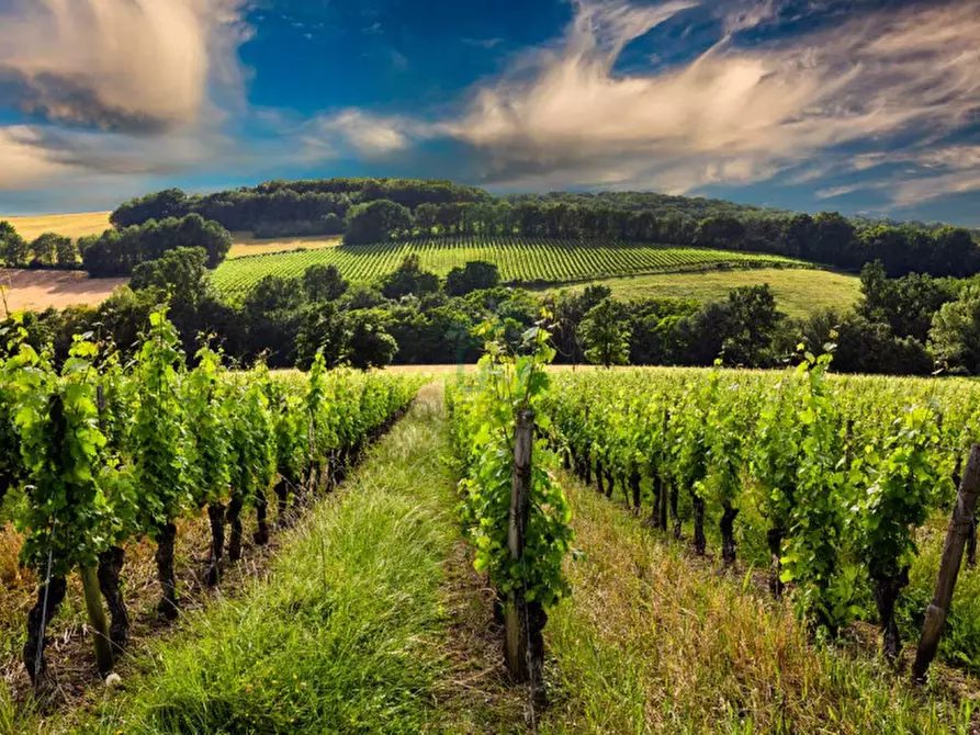 Immagine 8 di Terreno in vendita  in Via Gombion a Caldiero