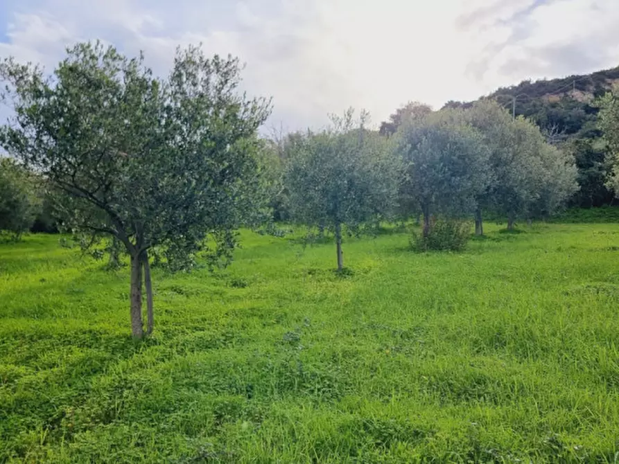 Immagine 20 di Villa in vendita  in VIA GIUSEPPE MAZZINI,N°28 a Pace Del Mela