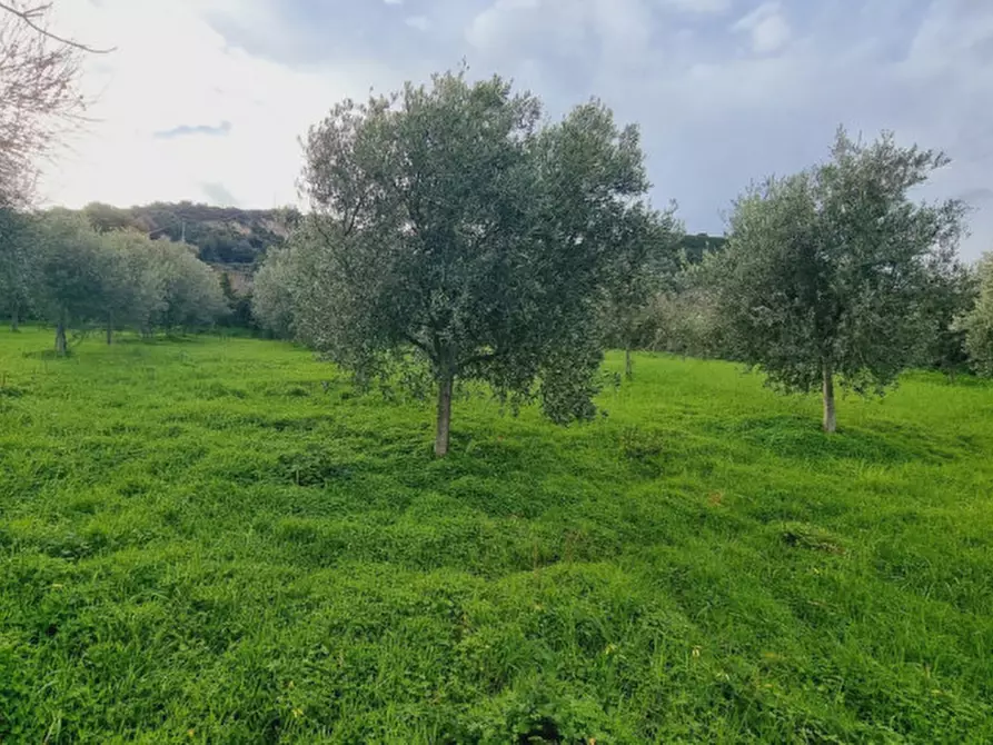 Immagine 21 di Villa in vendita  in VIA GIUSEPPE MAZZINI,N°28 a Pace Del Mela