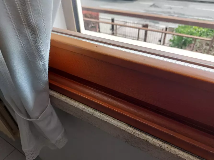 Immagine 11 di Casa bifamiliare in vendita  a Badia Polesine