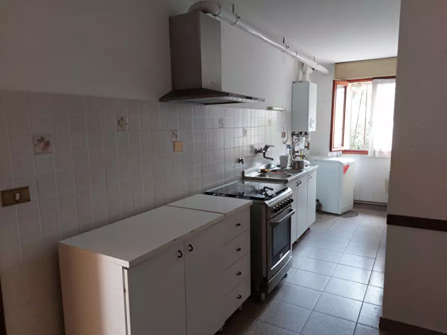 Immagine 18 di Casa bifamiliare in vendita  a Badia Polesine