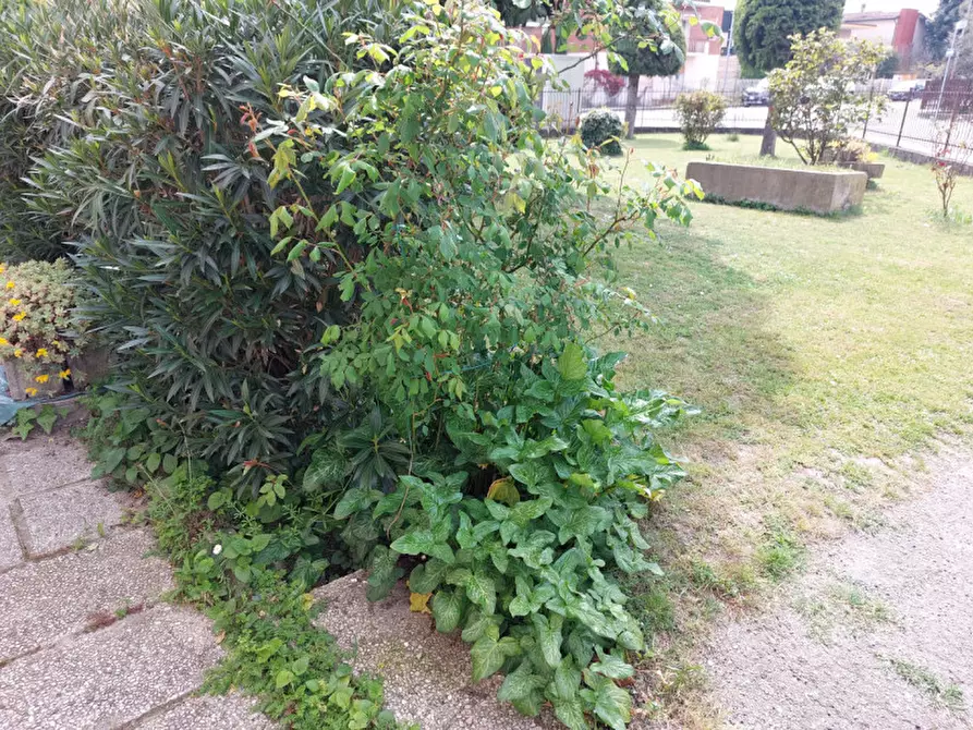 Immagine 21 di Casa bifamiliare in vendita  a Badia Polesine
