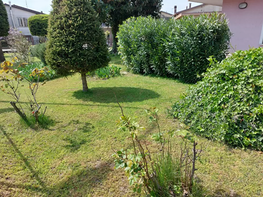 Immagine 22 di Casa bifamiliare in vendita  a Badia Polesine