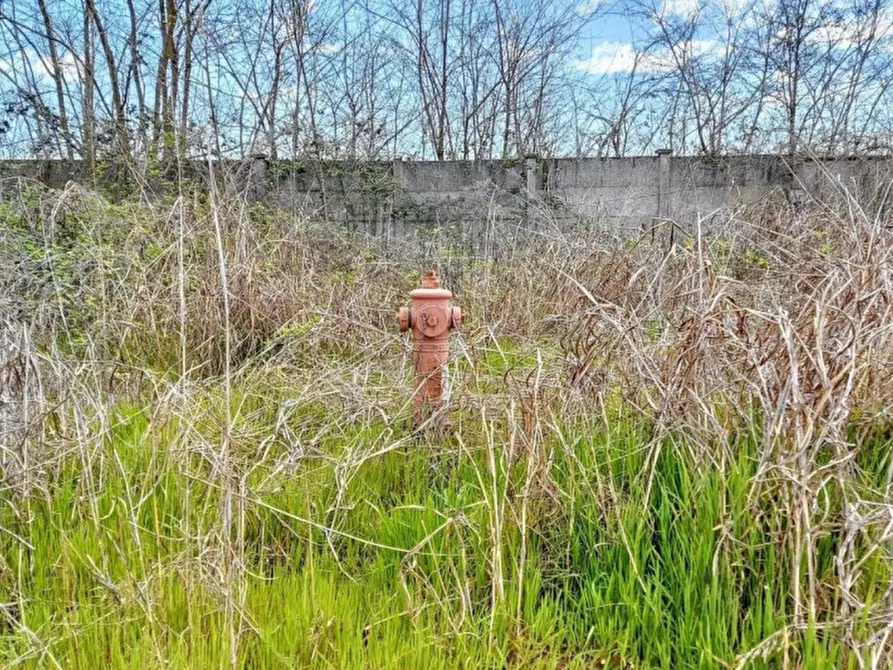 Immagine 23 di Capannone industriale in vendita  in Via Umberto II, N. 3/5 a Carmagnola