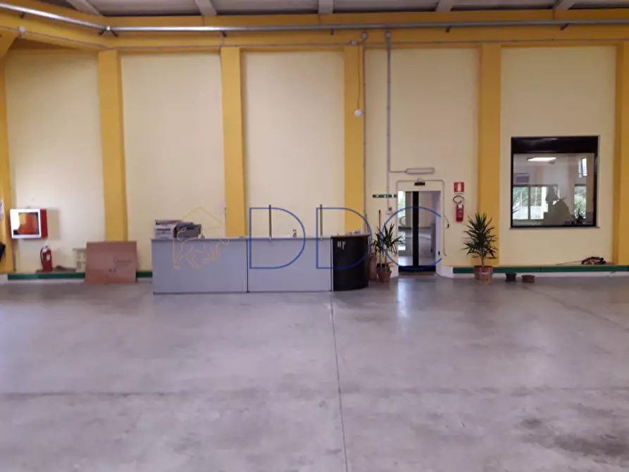 Immagine 7 di Capannone industriale in vendita  in Viale Marconi 33 a Bergamasco