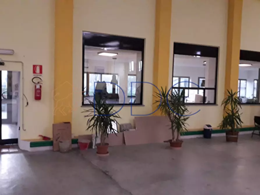 Immagine 8 di Capannone industriale in vendita  in Viale Marconi 33 a Bergamasco