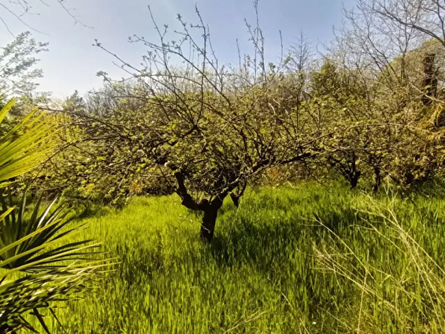 Immagine 3 di Terreno in vendita  in Via Solferino a Castiglione Delle Stiviere