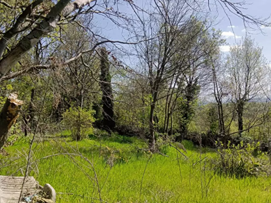 Immagine 5 di Terreno in vendita  in Via Solferino a Castiglione Delle Stiviere