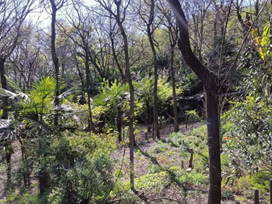 Immagine 6 di Terreno in vendita  in Via Solferino a Castiglione Delle Stiviere