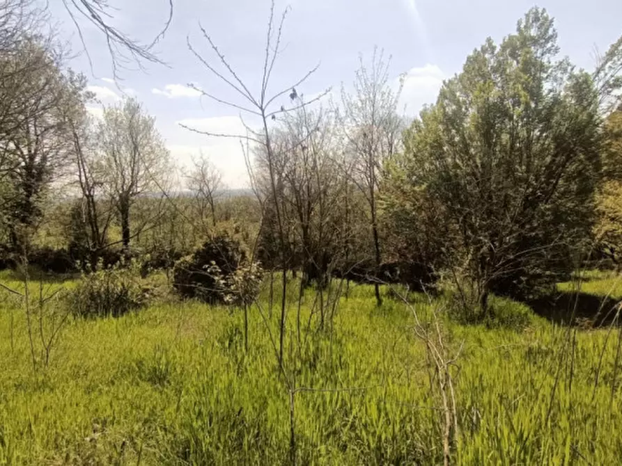 Immagine 10 di Terreno in vendita  in Via Solferino a Castiglione Delle Stiviere