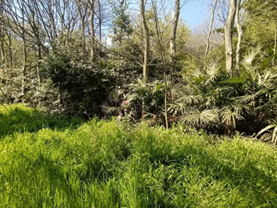 Immagine 11 di Terreno in vendita  in Via Solferino a Castiglione Delle Stiviere