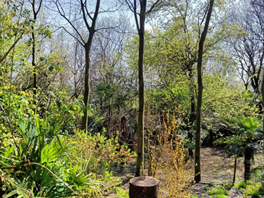 Immagine 13 di Terreno in vendita  in Via Solferino a Castiglione Delle Stiviere