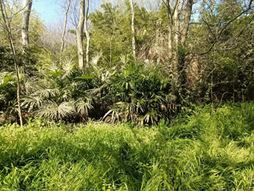 Immagine 14 di Terreno in vendita  in Via Solferino a Castiglione Delle Stiviere