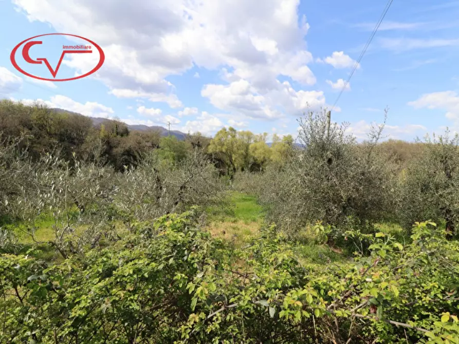 Immagine 9 di Villetta a schiera in vendita  in neri a Cavriglia