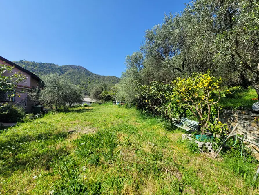 Immagine 18 di Casa bifamiliare in vendita  in via Tecci a Quiliano