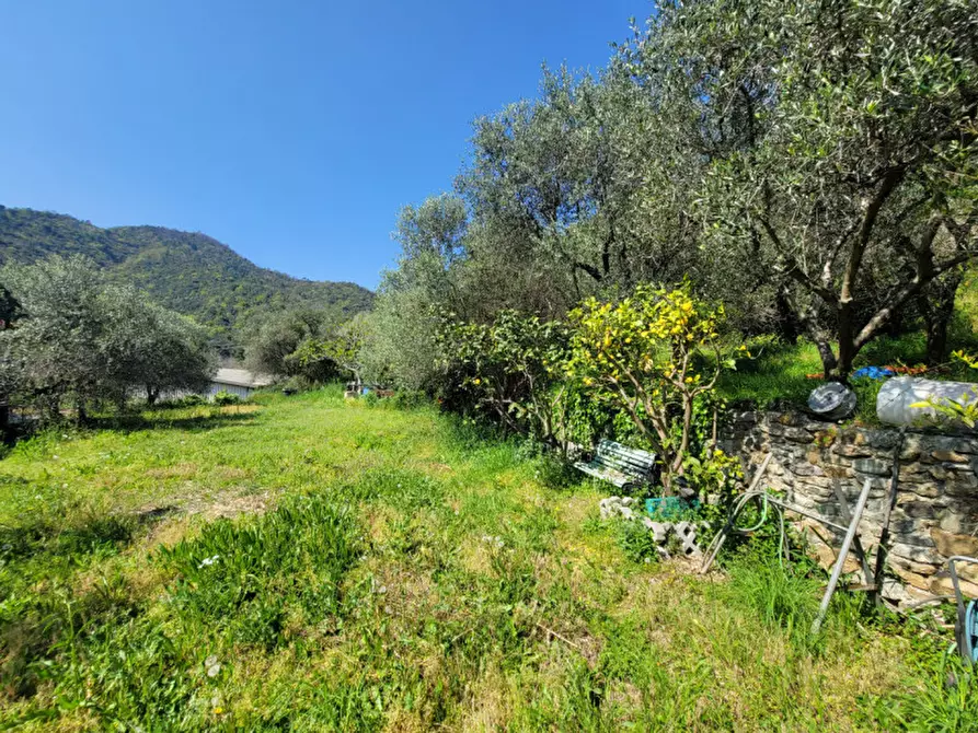 Immagine 19 di Casa bifamiliare in vendita  in via Tecci a Quiliano