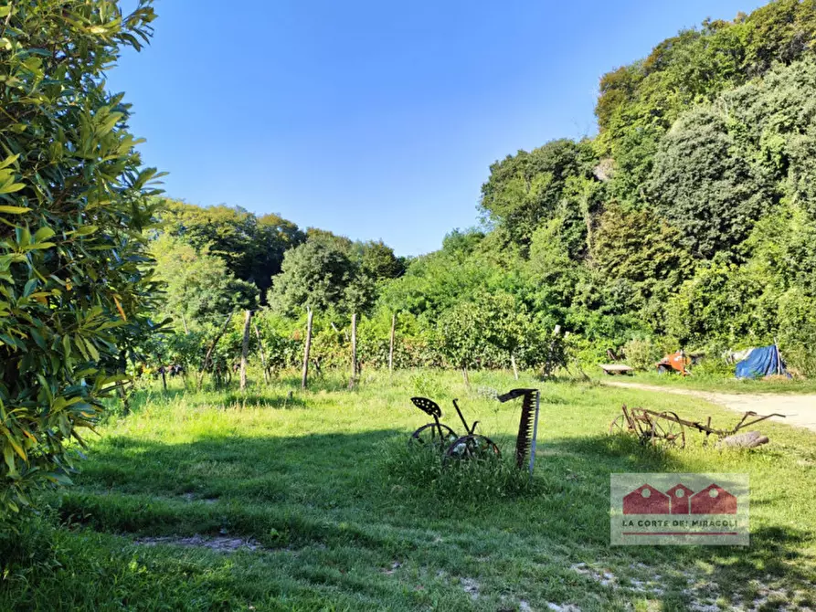 Immagine 11 di Rustico / casale in vendita  a Creazzo