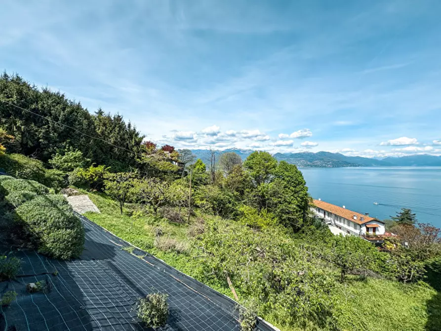 Immagine 49 di Villa in vendita  in via vignolo park 18 a Stresa