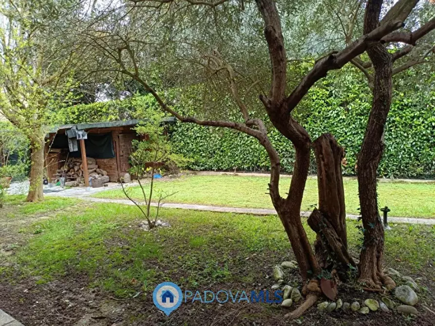 Immagine 2 di Casa bifamiliare in vendita  in Via Friuli a Selvazzano Dentro