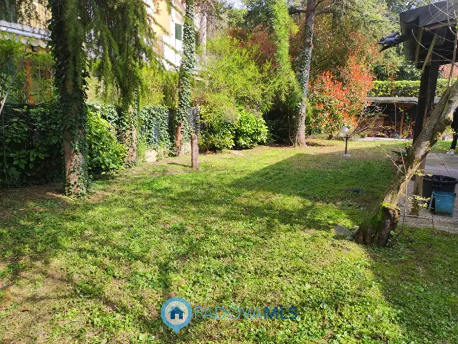 Immagine 6 di Casa bifamiliare in vendita  in Via Friuli a Selvazzano Dentro