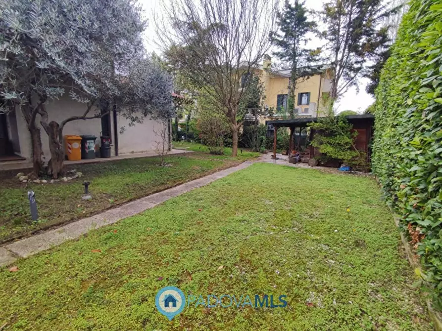 Immagine 7 di Casa bifamiliare in vendita  in Via Friuli a Selvazzano Dentro