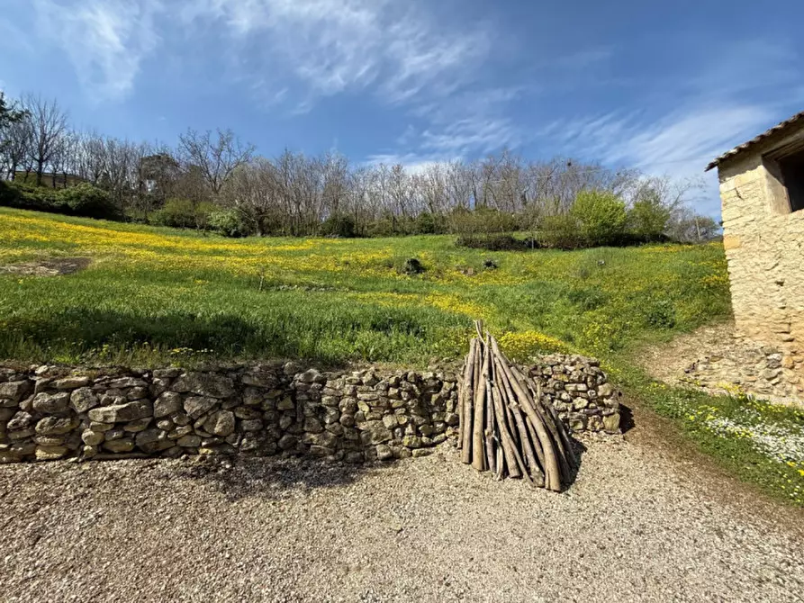 Immagine 2 di Villa in vendita  in San Michele Arcangelo a Villaga