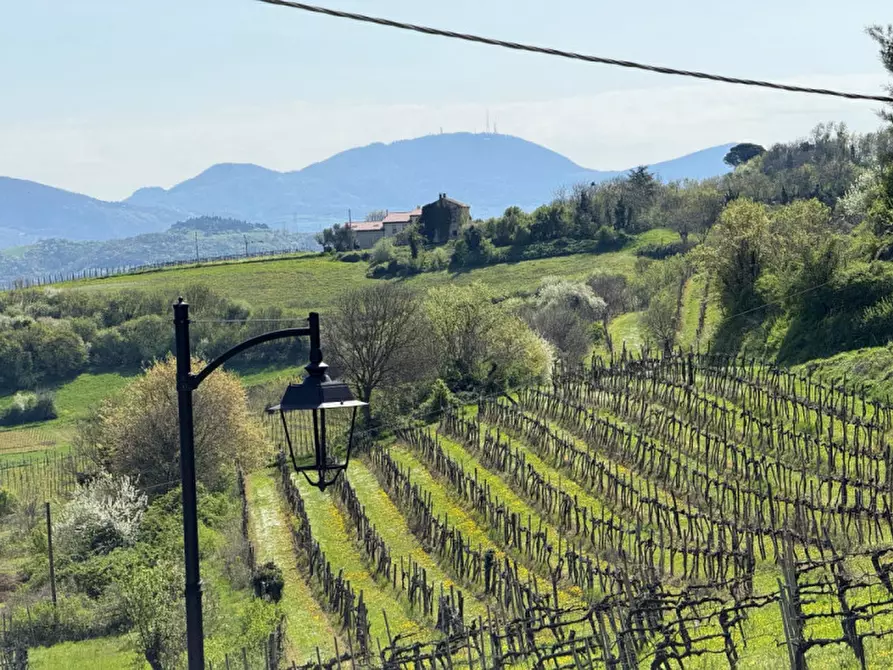 Immagine 8 di Villa in vendita  in San Michele Arcangelo 3 a Villaga