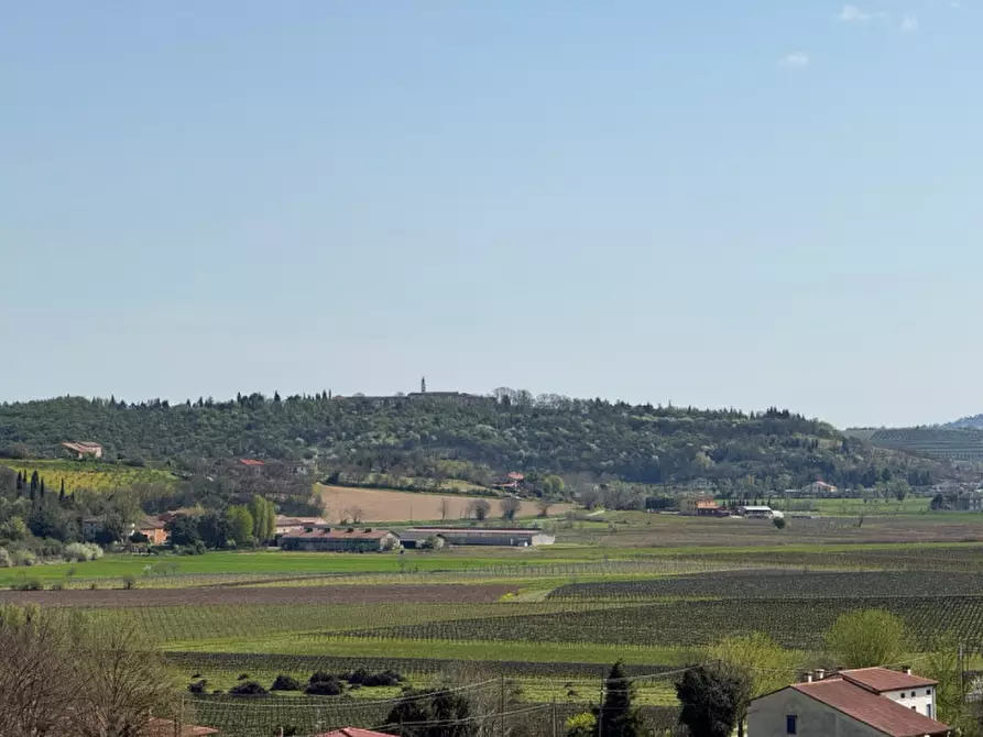 Immagine 9 di Villa in vendita  in San Michele Arcangelo 3 a Villaga