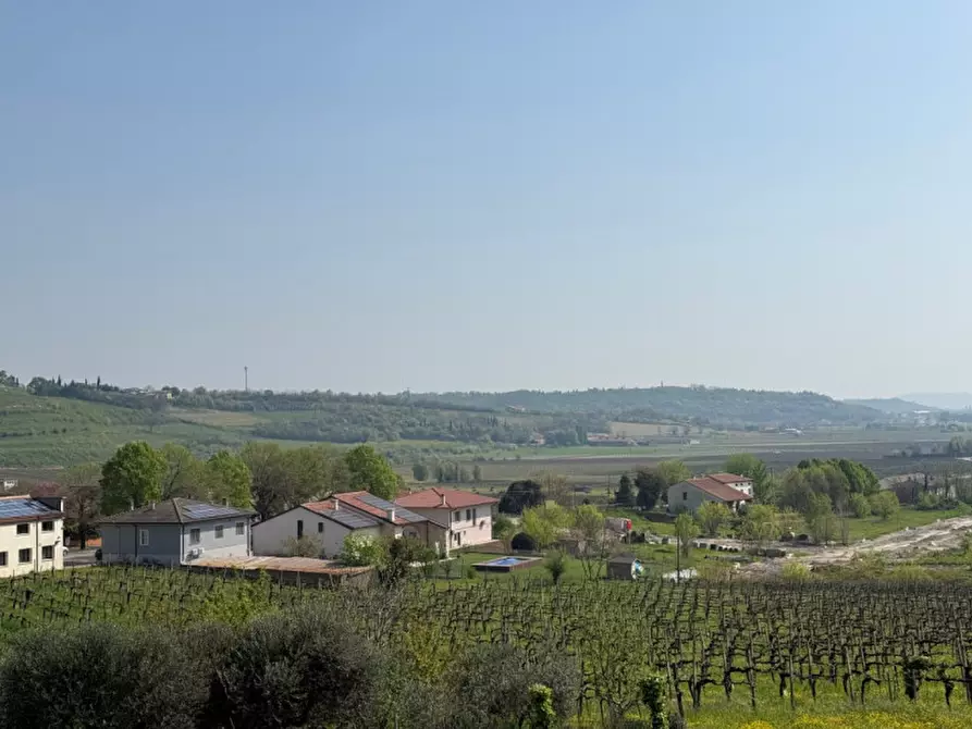 Immagine 10 di Villa in vendita  in San Michele Arcangelo 3 a Villaga