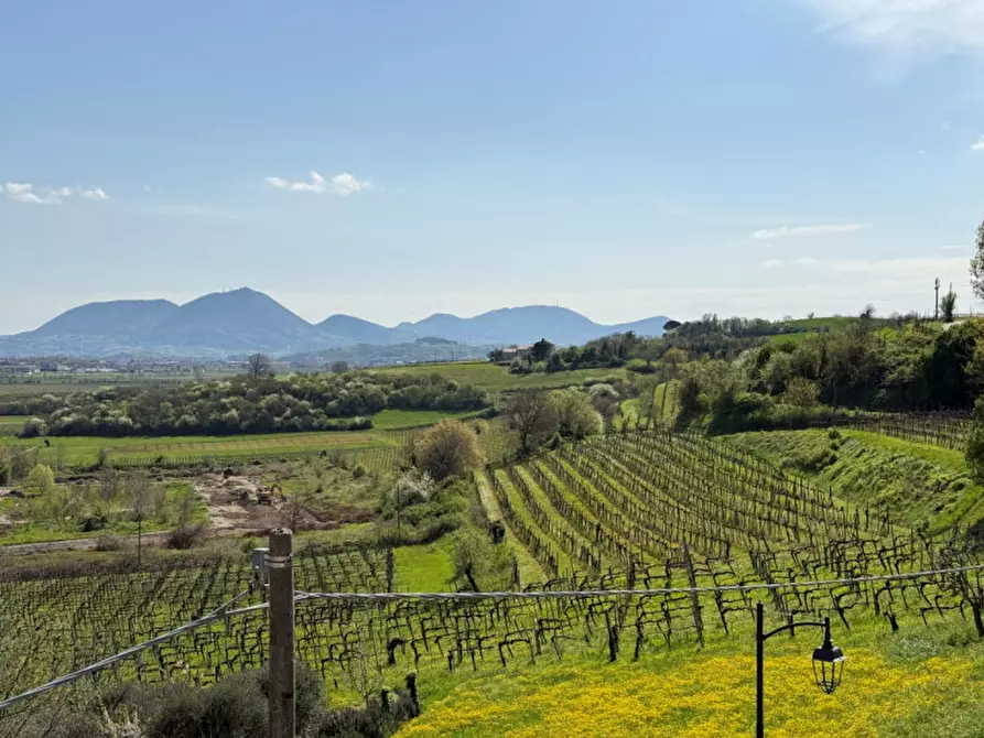 Immagine 12 di Villa in vendita  in San Michele Arcangelo 3 a Villaga