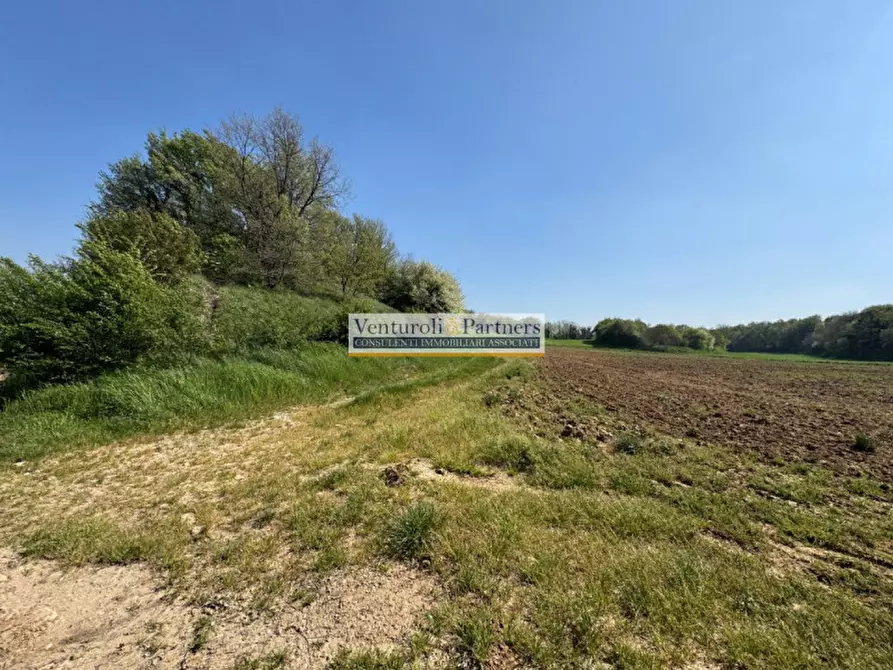 Immagine 3 di Terreno in vendita  in via malocco a Lonato del Garda