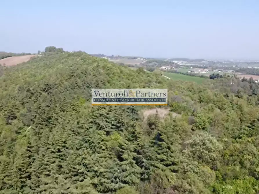 Immagine 7 di Terreno in vendita  in via malocco a Lonato del Garda