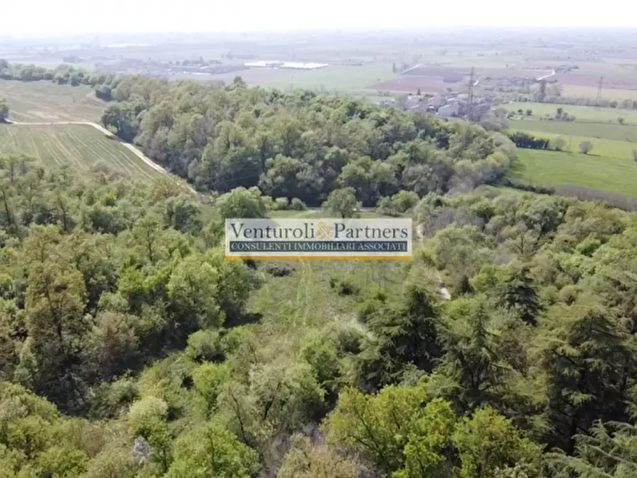 Immagine 18 di Terreno in vendita  in via malocco a Lonato del Garda
