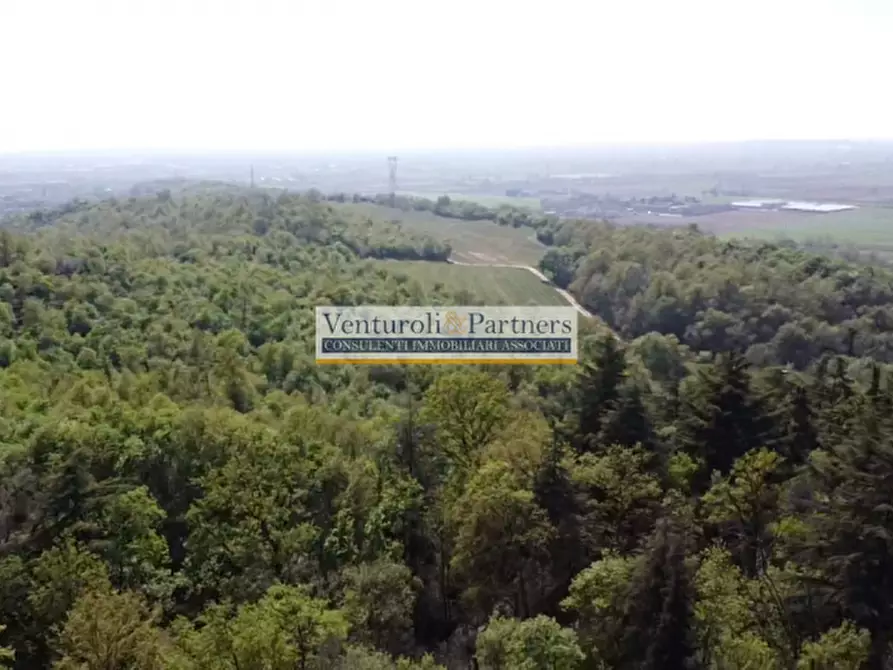 Immagine 19 di Terreno in vendita  in via malocco a Lonato del Garda