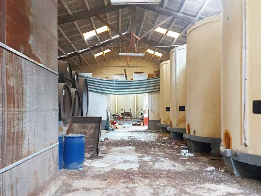 Immagine 3 di Capannone industriale in vendita  in Contrada Berbaro, N. 388 a Marsala
