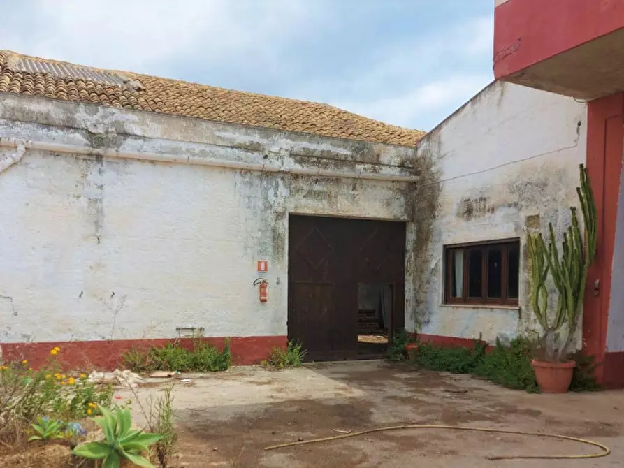 Immagine 8 di Capannone industriale in vendita  in Contrada Berbaro, N. 388 a Marsala