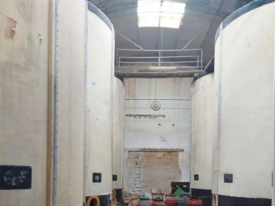 Immagine 13 di Capannone industriale in vendita  in Contrada Berbaro, N. 388 a Marsala
