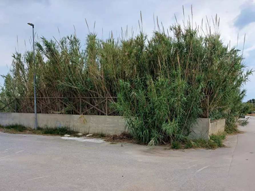 Immagine 3 di Terreno in vendita  in Contrada Berbaro Snc a Marsala