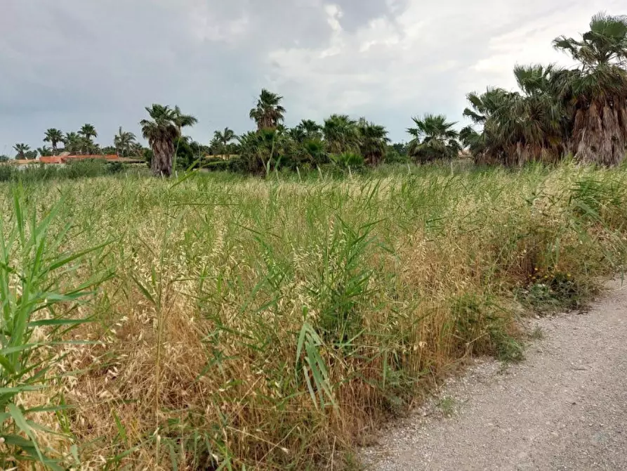 Immagine 6 di Terreno in vendita  in Contrada Berbaro Snc a Marsala