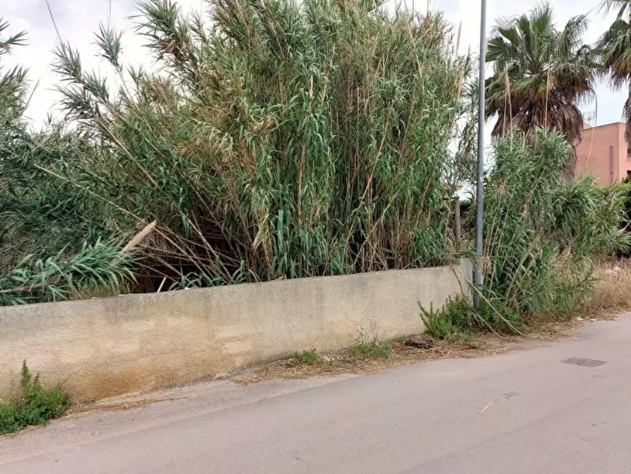 Immagine 7 di Terreno in vendita  in Contrada Berbaro Snc a Marsala