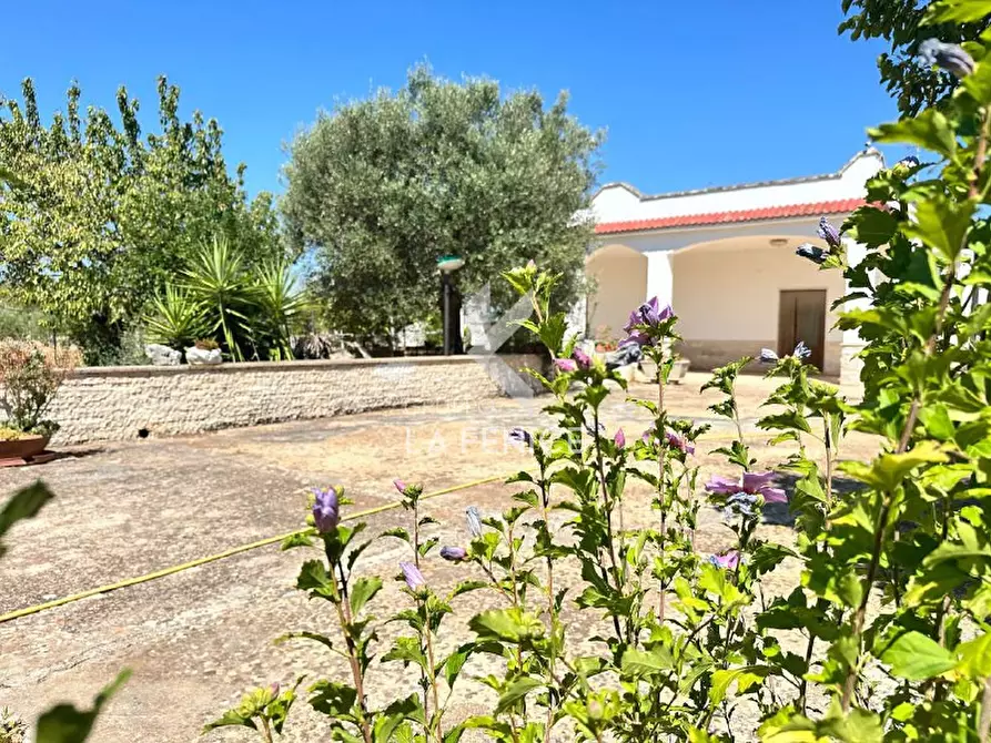 Immagine 3 di Villa in vendita  in Strada Paretone 278 a Martina Franca