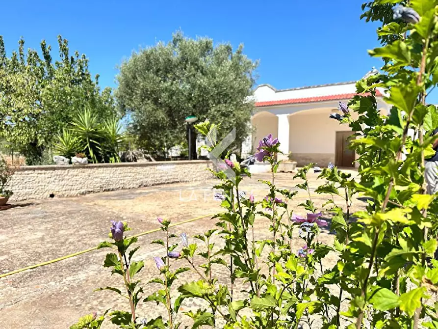 Immagine 4 di Villa in vendita  in Strada Paretone 278 a Martina Franca